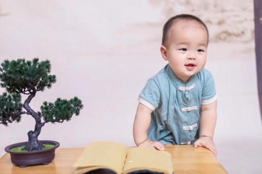 三明可爱的企鹅宝宝
